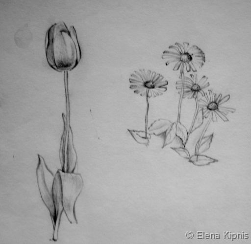 03 - Grafik Bleistift, 30 x 25 cm
